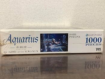 12星座女のこ　パズル千ピース 53×79㎝黒縁　木額　パネル完成品 12星座女のこ パズル千ピース 53×79㎝黒縁 木額 パネル